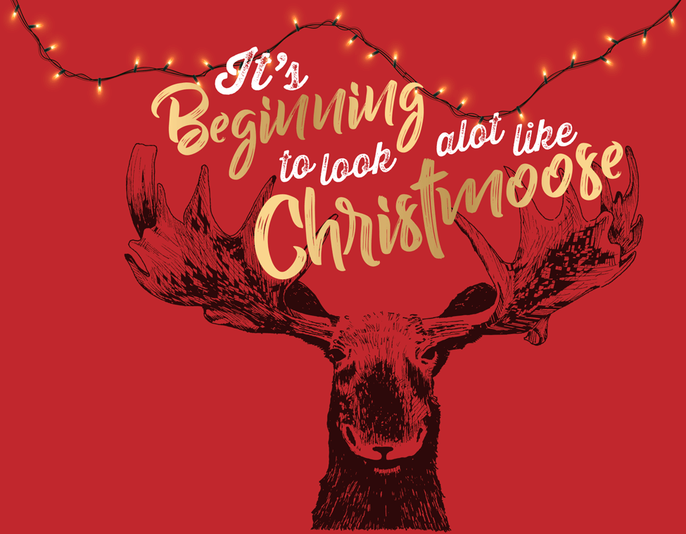 It's beginning to look a lot like Christmoose