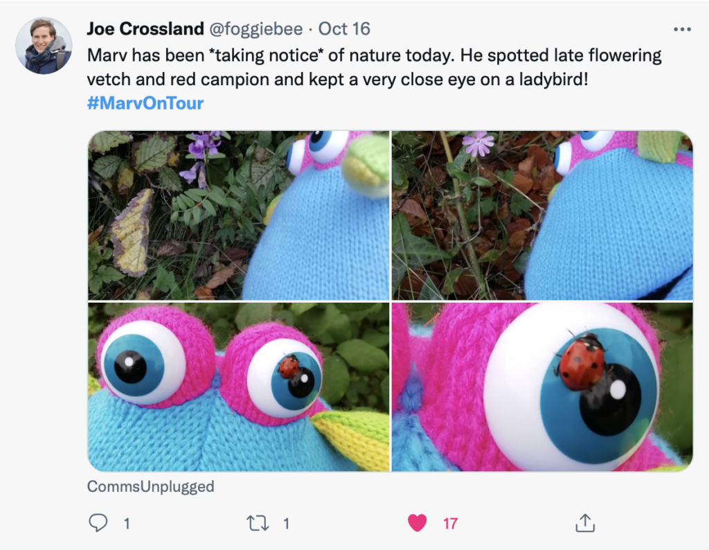 Marv the blue puppet is off on his adventures, shown in Twitter. He's bug hunting today. 