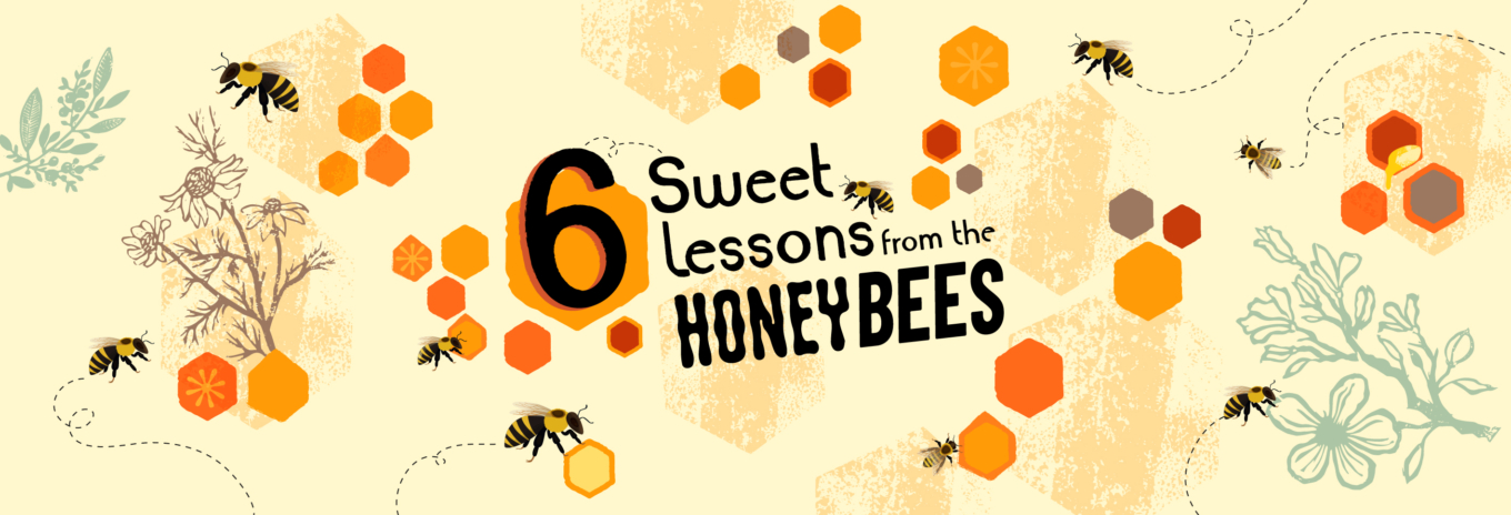 INFOGRAPHIC: Six sweet lessons from the honeybees