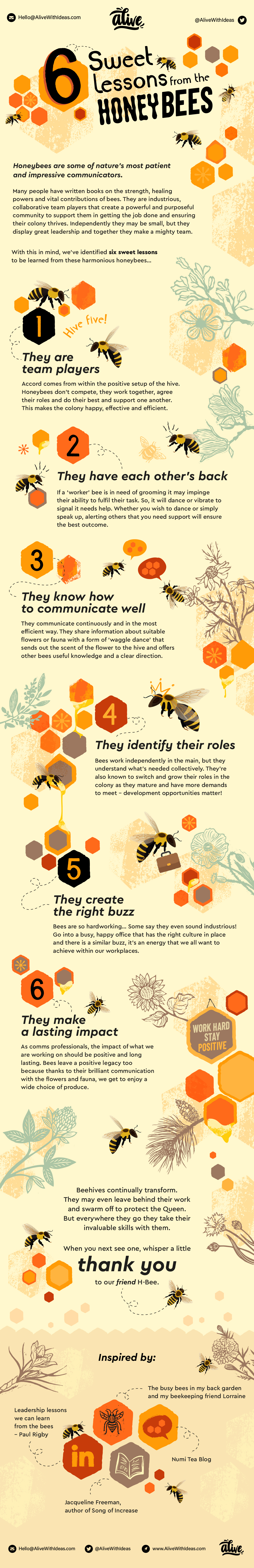 Bee inspired infographic with 6 lesson from the honeybees