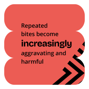 repeated bites become increasingly aggravating and harmful