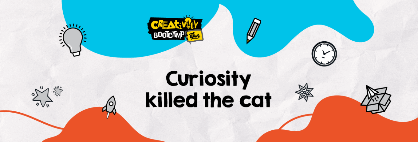 Curiosity killed the cat